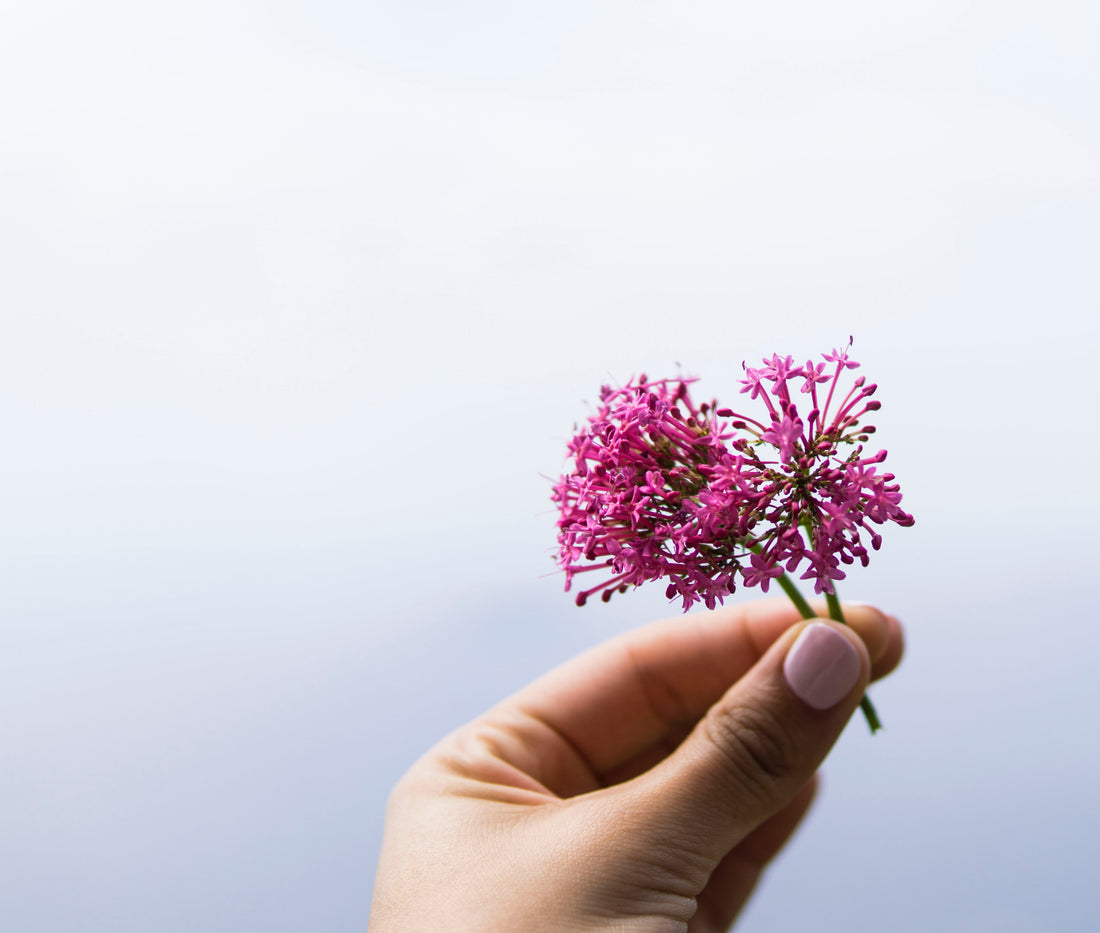 Try these Natural Sleep Aids that are Proven to Help You Get Sleep ASAP!