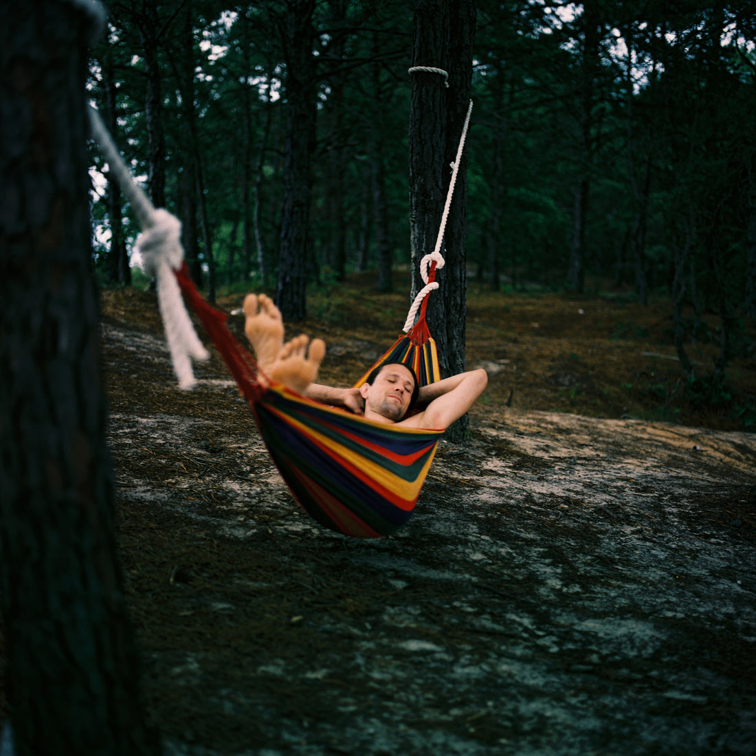 How to Master the Art of Napping!