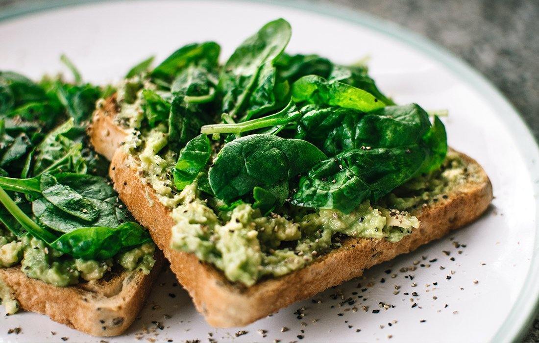 The REAL REASON that Plant-based diets are gaining popularity in Australia - 13 Seeds Hemp Farm