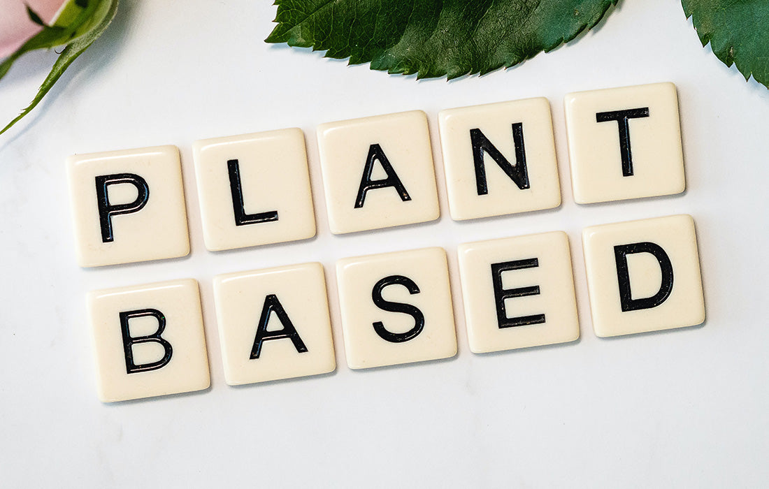 Plant-Based Protein Powders: Which one is right for you?