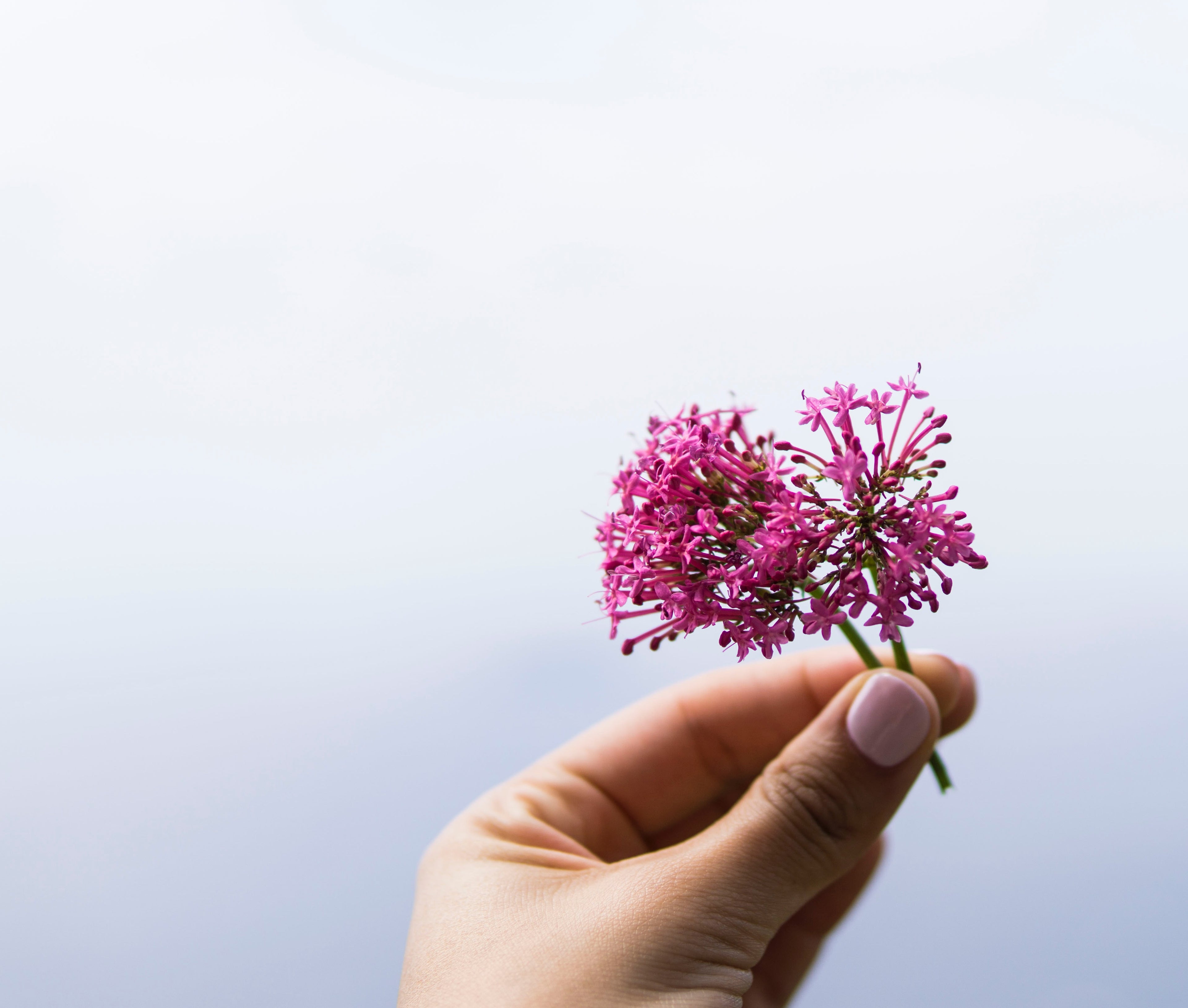 Try these Natural Sleep Aids that are Proven to Help You Get Sleep ASAP!