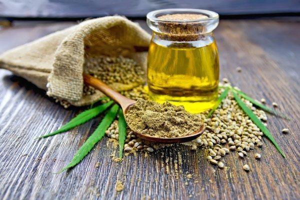 Did you know this difference between CBD oil and Hemp Seed Oil?! - 13 Seeds Hemp Farm