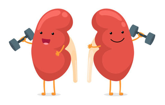 5 simple tips to keep your kidneys healthy!
