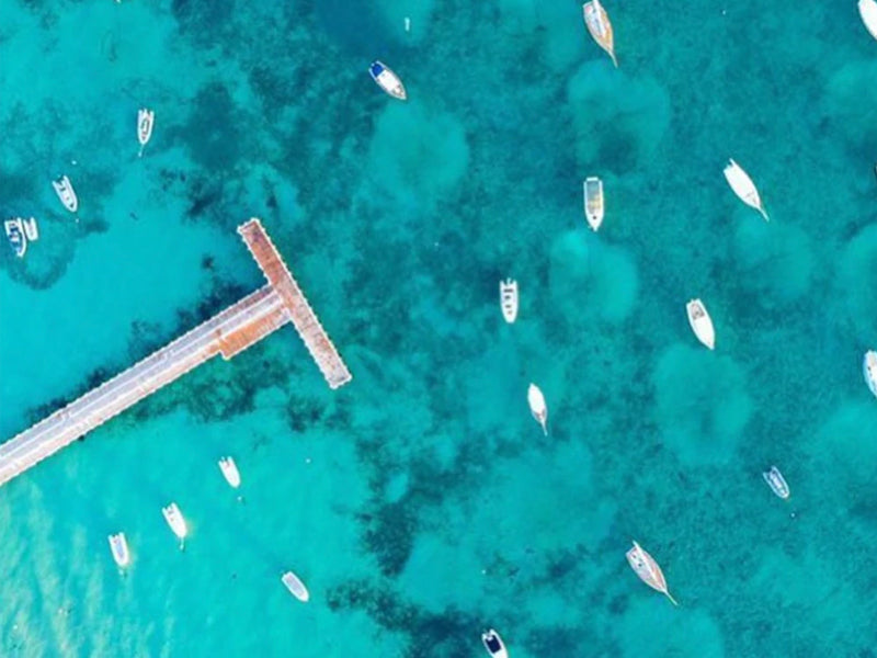 Summer Escapes