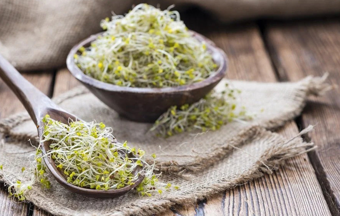 What’s sulforaphane and why you should eat cruciferous vegetables!