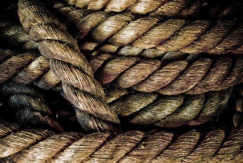 Hemp - The Tie That Binds - By Terry Memory - 13 Seeds Hemp Farm