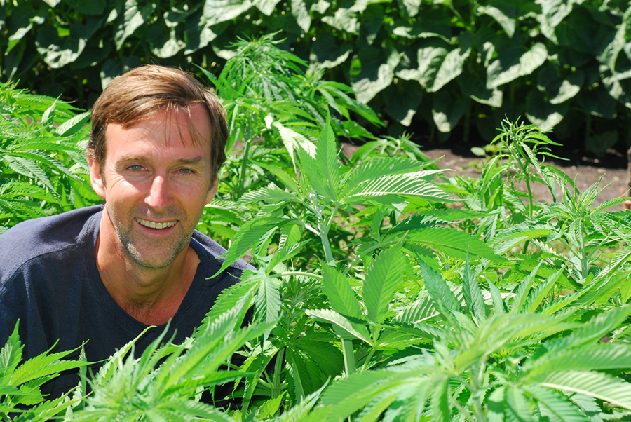 Hemp at the Cross Roads by John Roulac - 13 Seeds Hemp Farm