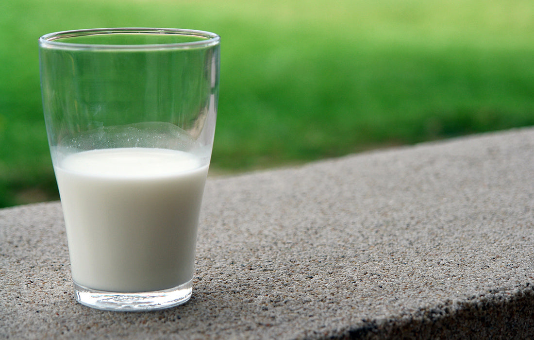 Cutting out Dairy: What does this mean for your calcium intake?
