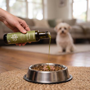 Hempseed Oil 500ml