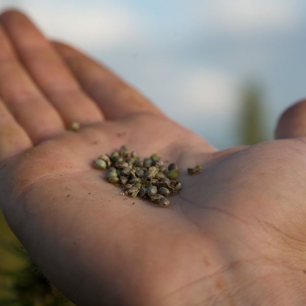 NutriSeed+