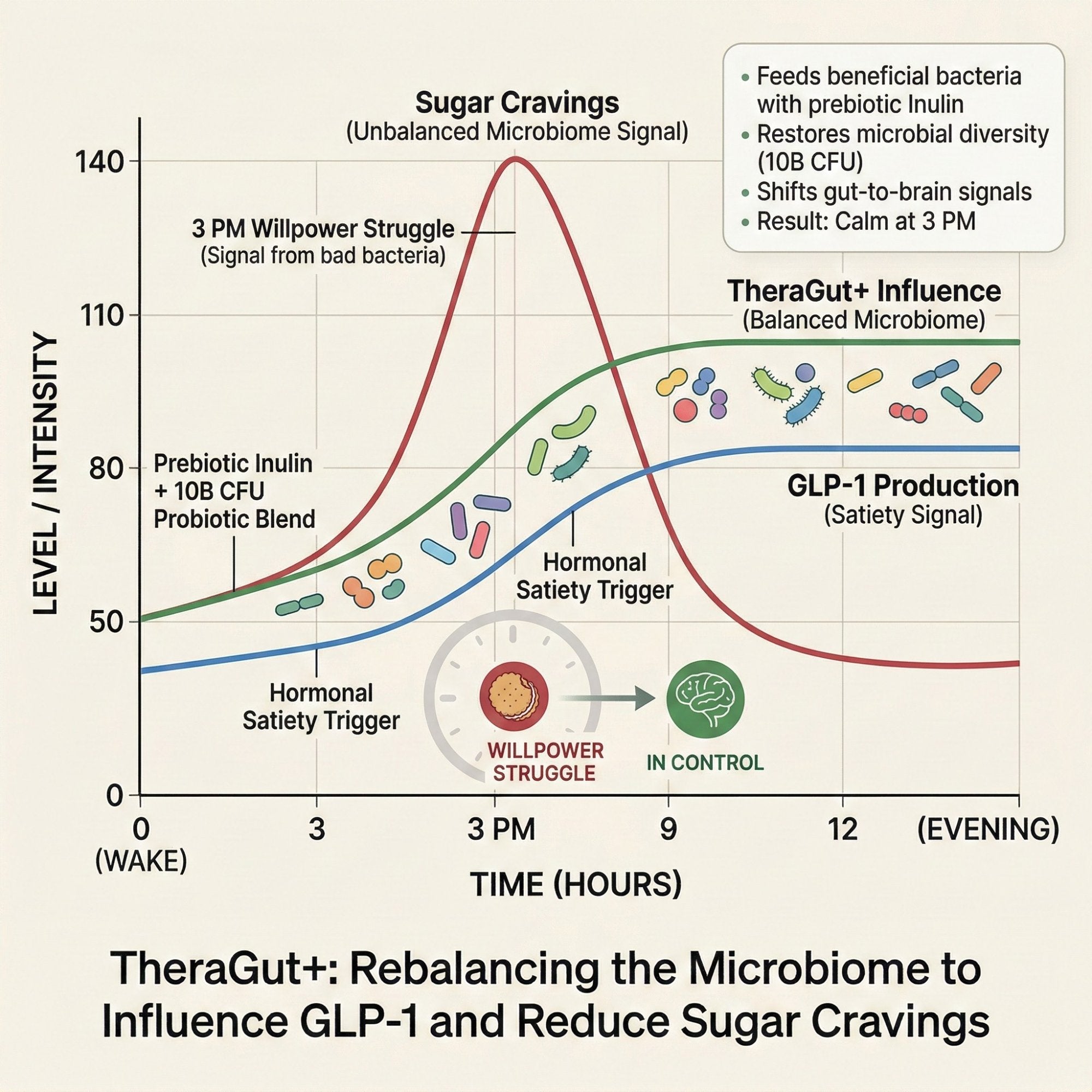 TheraGut+ Rebalancing the Microbiome to Influence GLP-1 and Reduce Sugar Cravings