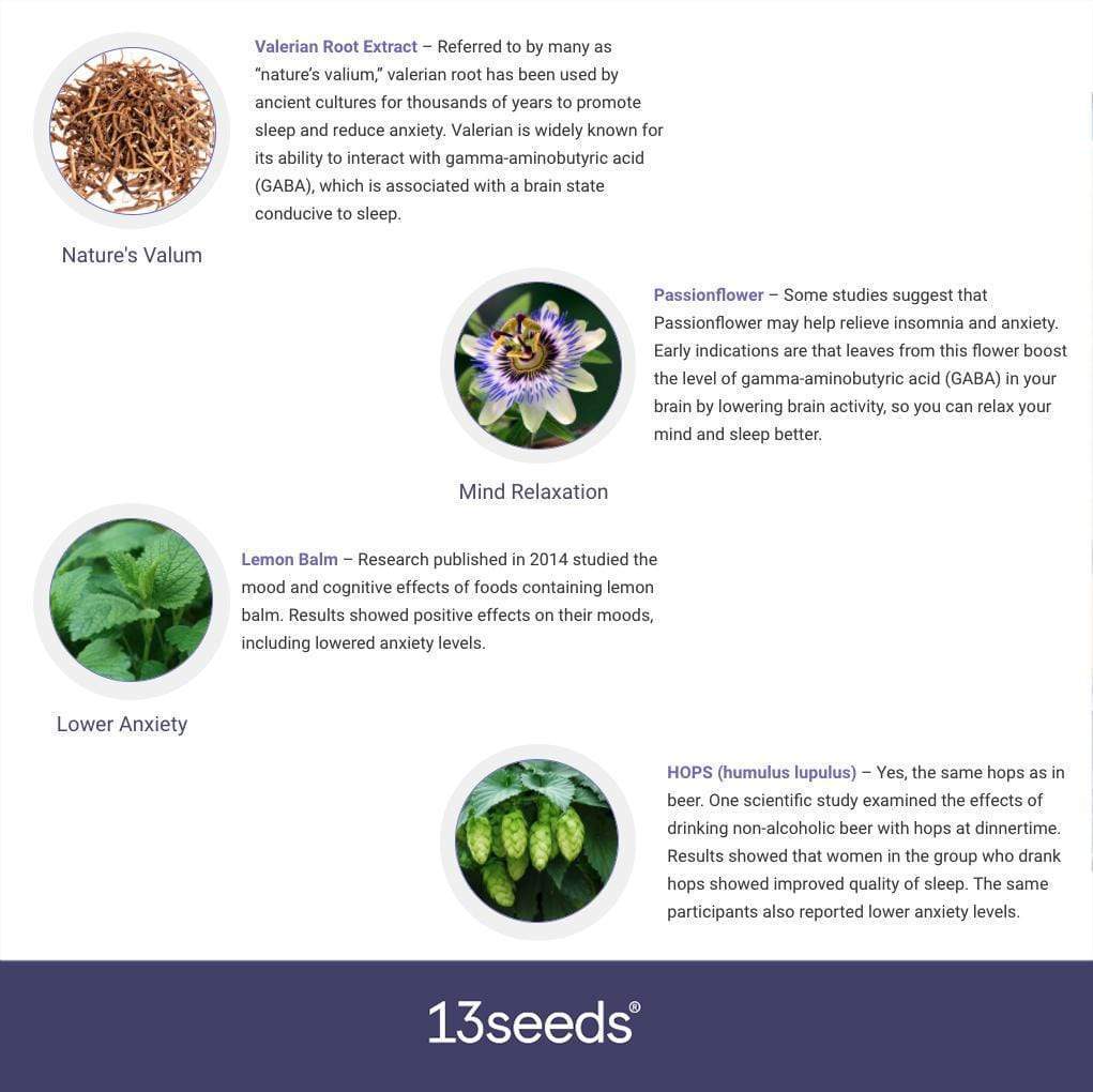 13 Seeds TheraNight+ Natural Deep Sleep