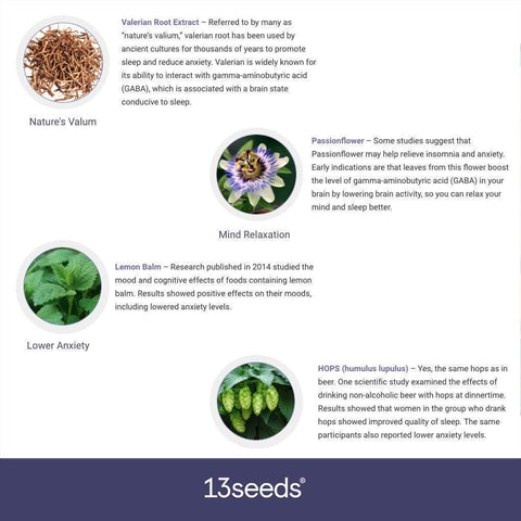 13 Seeds TheraNight+ Natural Deep Sleep